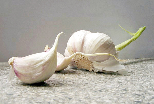 Cebule czosnku pospolitego („ząbki”) fot. Pedros-Wikimedia