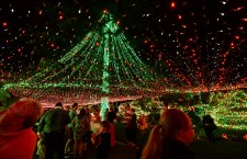 Christmas Lights World Record