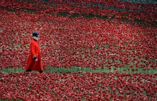 Poppies lie in Tower of London moat to commemorate WW1 victims