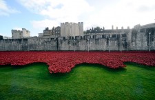 Queen visits poppies in Tower of London moat