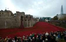 Poppies at Tower of London Moat - World War I Centenary