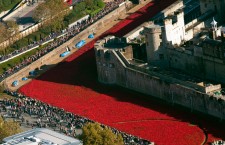 Tower of London poppies