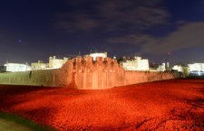 Poppies at Tower of London Moat - World War I Centenary