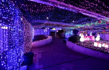 New Guiness World Record for Christmas lights