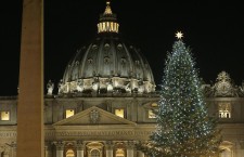 Christmas tree at Saint Peter's square