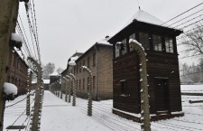70th anniversary of the liberation of the camp preparations