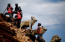 Rescue and clean up after Nepal earthquake