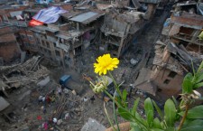 Aftermath of Nepal earthquake
