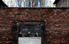 71 anniversary of KL Auschwitz-Birkenau liberation and International Holocaust Remembrance Day