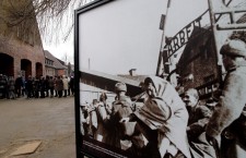 71st anniversary of KL Auschwitz-Birkenau liberation and International Holocaust Remembrance Day