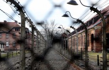 71 anniversary of KL Auschwitz-Birkenau liberation and International Holocaust Remembrance Day