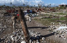 Hurricane Matthew aftermath
 in Haiti