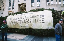 Christmas Tree Arrives to Rockefeller Center