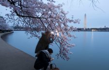 2018 National Cherry Blossom Festival, Washington, USA - 06 Apr 2018