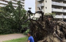 Powerful typhoon Jebi make landfall in western Japan, Sakai - 04 Sep 2018