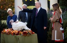 US President Donald J. Trump participates in the Presentation of the National Thanksgiving Turkey, Washington, USA - 20 Nov 2018