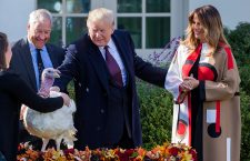 US President Donald J. Trump participates in the pardoning of the National Thanksgiving Turkey, Washington, USA - 20 Nov 2018