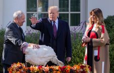 US President Donald J. Trump participates in the pardoning of the National Thanksgiving Turkey, Washington, USA - 20 Nov 2018