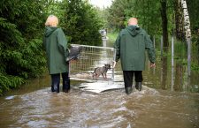 Evacuation due flooding in Wadowice Gorne, Poland - 22 May 2019